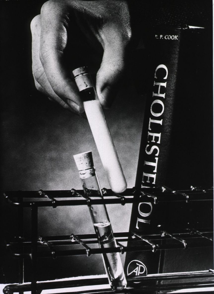 Lipid Profile Test and the Importance of&nbsp;LDL